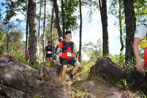 BIB: 
                            <button type="button" onclick="openModal(18916139)" class="btn btn-primary btn-sm float-right btn-popup" data-toggle="modal" data-target=".modal-high-quality">
                        <i class="fas fa-shopping-cart"></i> Add to Cart
                    </button>
                                            <button type="button" onclick="isThisMe(18916139, true)" class="btn btn-success btn-sm float-right btn-popup btn-isme hidden" data-toggle="tooltip" data-placement="bottom" title="นี่คือรูปของคุณใช่ไหม คลิกที่นี่เพื่อเอาเข้าอัลบั้ม">
                        <i class="fas fa-plus"></i> Add to album
                    </button>
                    <button type="button" onclick="isThisMe(18916139, false)" class="btn btn-warning btn-sm float-right btn-popup btn-isnotme hidden">
                        <i class="fas fa-ban"></i> Remove from album
                    </button>